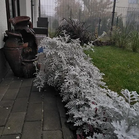 Apartament Prywatny Baltic Nova Wladyslawowo Exterior photo