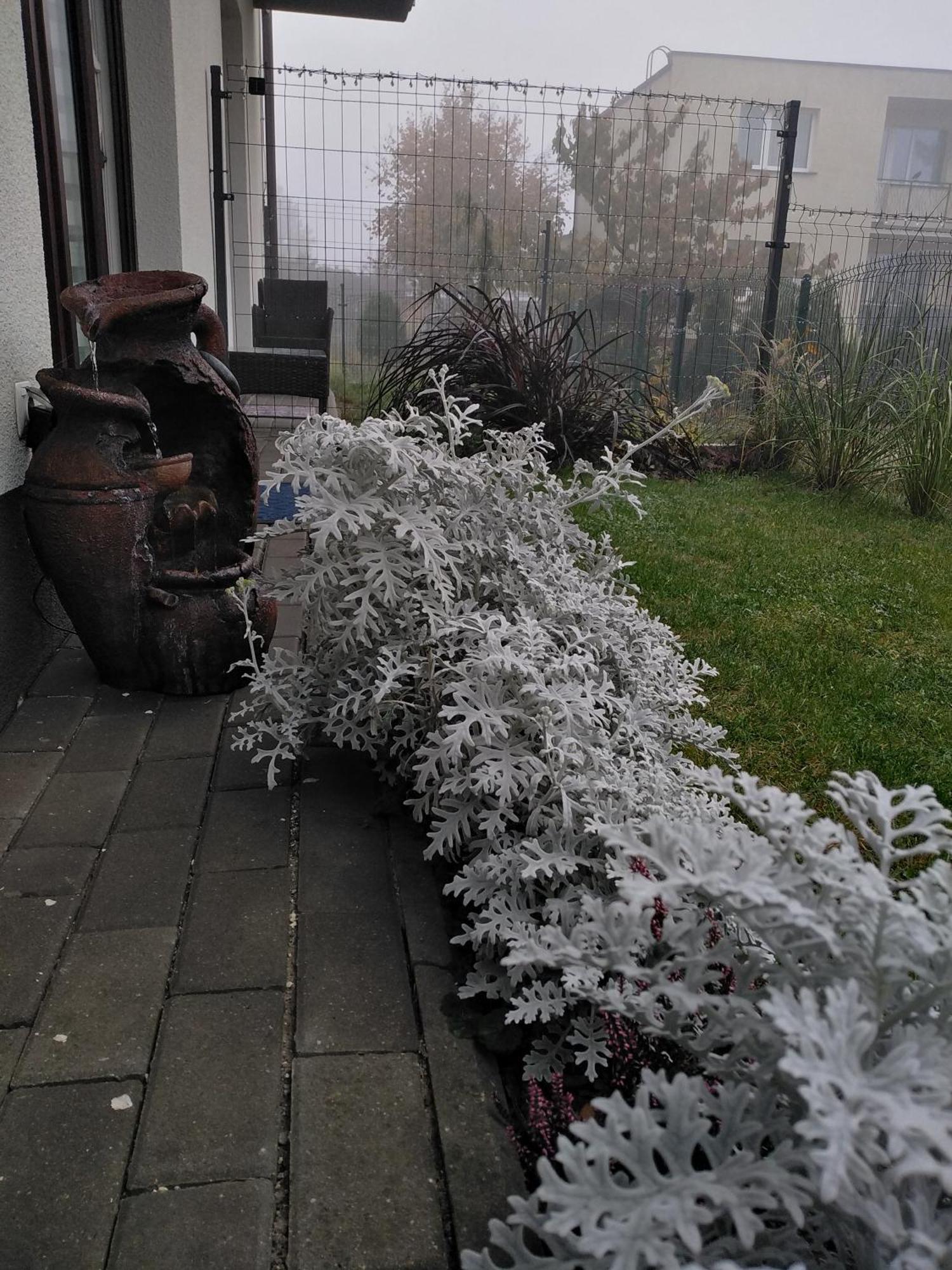 Prywatny Baltic Nova Wladyslawowo
